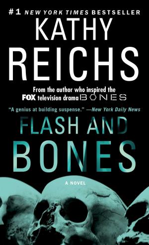 bigCover of the book Flash and Bones by 