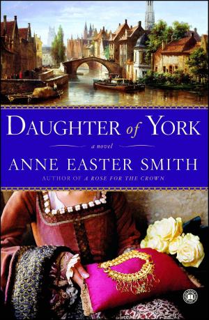 Cover of the book Daughter of York by Laura Shaine Cunningham
