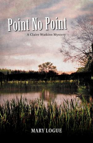 Cover of the book Point No Point by Jamie Glowacki