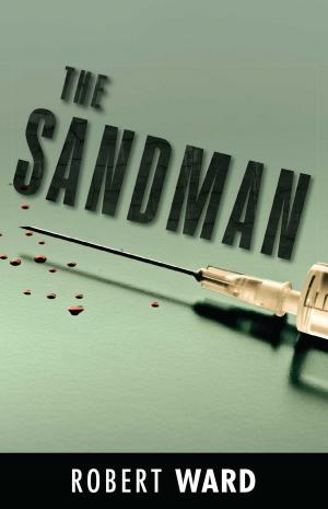 Cover of the book The Sandman by Sarah Lewitinn