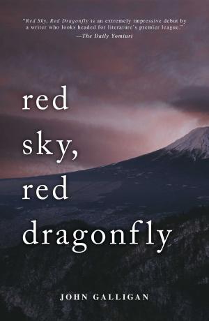 Cover of the book Red Sky, Red Dragonfly by Bash Dibra