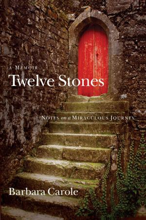 Cover of the book Twelve Stones by Mel Lawrenz