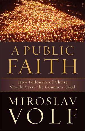 Cover of the book A Public Faith by Jerusha Clark