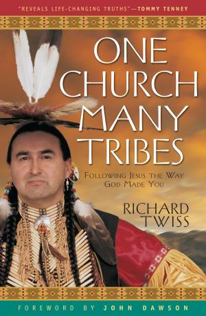 Cover of the book One Church, Many Tribes by David A. Livermore