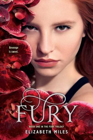 Cover of the book Fury by Lisa Schroeder