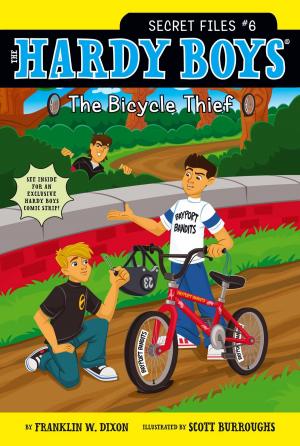 Cover of the book The Bicycle Thief by Marian Keen