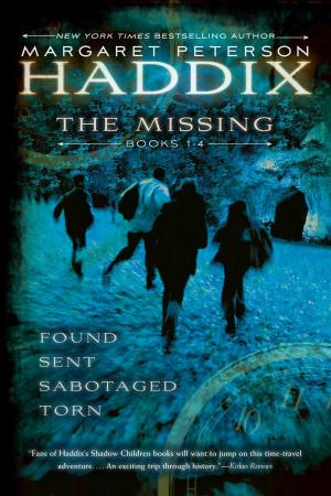 Cover of the book The Missing Collection by Margaret Peterson Haddix by Wes Tooke