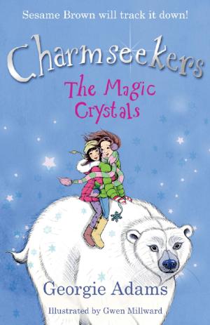 Cover of the book The Magic Crystals by Carol Midgley