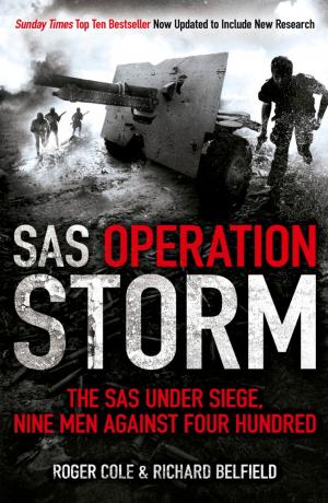 Book cover of SAS Operation Storm