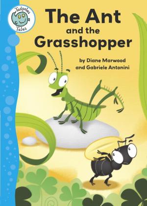 Cover of the book Aesop's Fables: The Ant and the Grasshopper by Adam Blade
