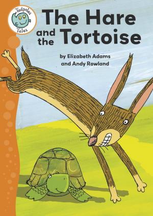 Cover of the book Aesop's Fables: The Hare and the Tortoise by Holly Webb