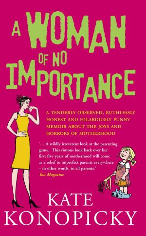 Cover of the book A Woman Of No Importance by Anthea Turner