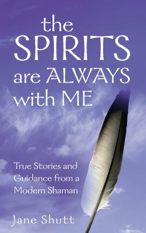 Cover of the book The Spirits Are Always With Me by Frank Ching