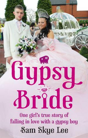 Cover of the book Gypsy Bride by Ann Summers