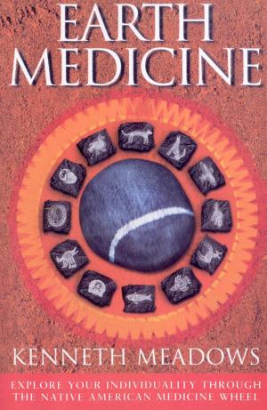 Cover of the book Earth Medicine by Richard Morgale