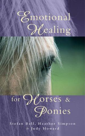 Book cover of Emotional Healing For Horses & Ponies