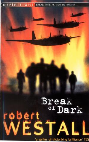 Cover of the book Break Of Dark by Chris d'Lacey
