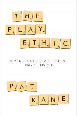 Cover of the book The Play Ethic by Ciara Hegarty