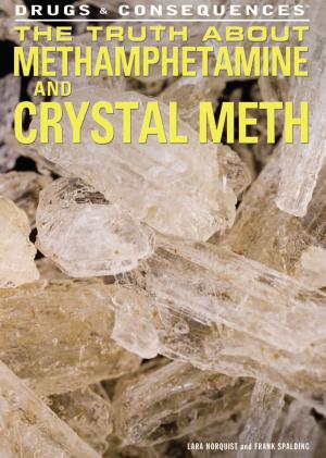 Cover of the book The Truth About Methamphetamine and Crystal Meth by Jared Meyer, Rory M. Bergin