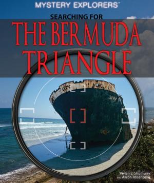 Cover of the book Searching for the Bermuda Triangle by Anne Rooney