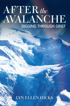 Book cover of After the Avalanche