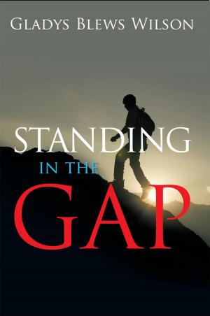 Cover of the book Standing in the Gap by Stephen Blewett