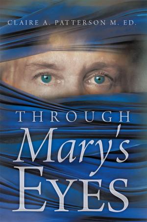 Book cover of Through Mary's Eyes