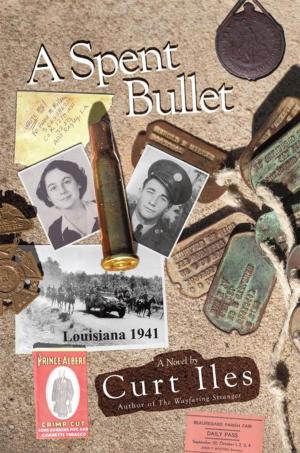 Cover of the book A Spent Bullet by Alicia J. Winget
