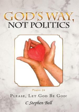 Cover of the book God's Way, Not Politics by David Gibson