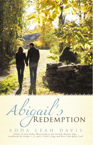 Cover of the book Abigail's Redemption by Dr. Brad Hicks