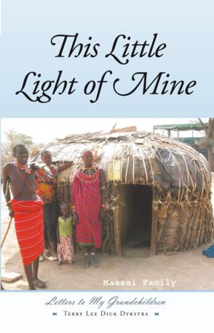 Cover of the book This Little Light of Mine by Edward Aboderin