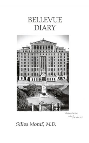Cover of the book Bellevue Diary by Carolyn VanderBeek