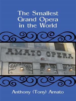 Book cover of The Smallest Grand Opera in the World