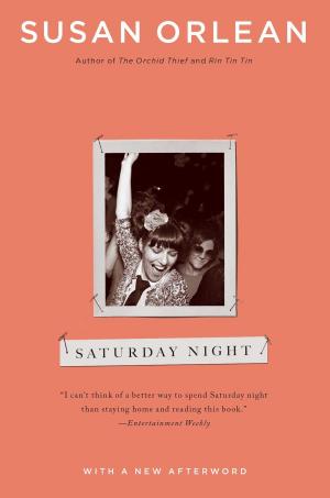 Book cover of Saturday Night
