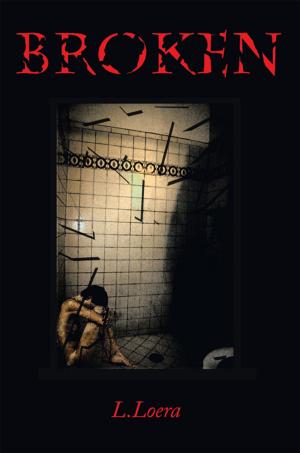 Cover of the book Broken by David Dworsky