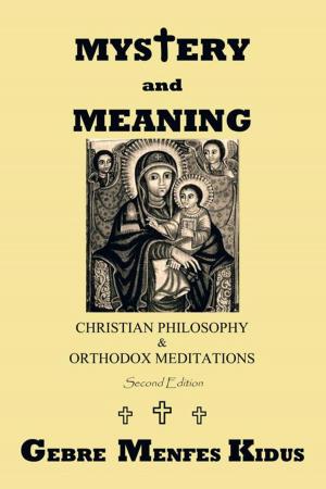 Cover of the book Mystery and Meaning by Julie
