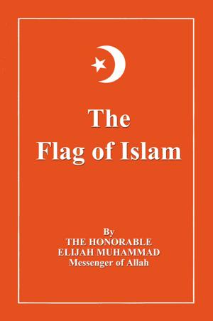 Cover of the book The Flag of Islam by Nasir Hakim