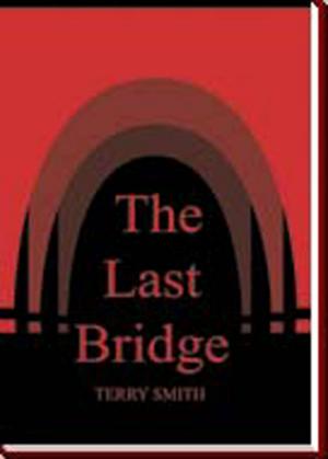 bigCover of the book The Last Bridge by 