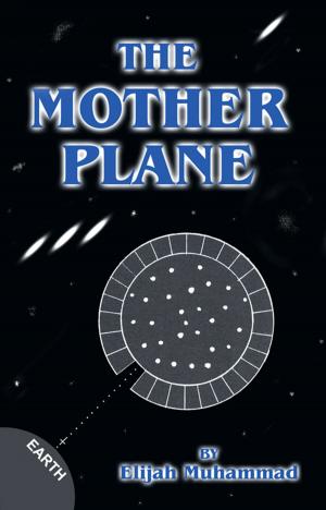 Cover of the book The Mother Plane: UFO's by Rose Hakim