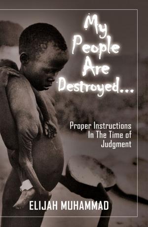 Book cover of My People Are Destroyed: Proper Instructions In The Time of Judgment