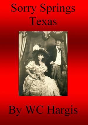 Book cover of Sorry Springs Texas