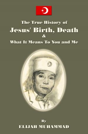 Book cover of The True History of Jesus' Birth Death and What It Means To You and Me