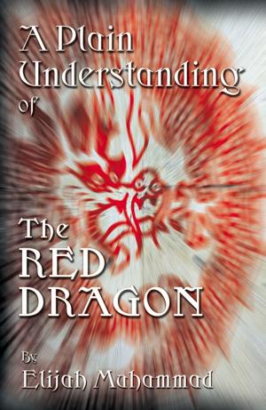 Book cover of A Plain Understanding Of The Red Dragon