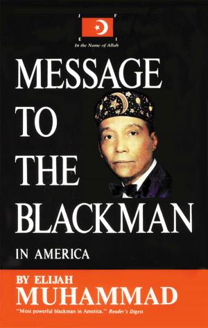 Book cover of Message To The Blackman In America