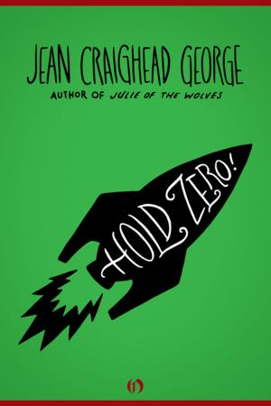 bigCover of the book Hold Zero! by 