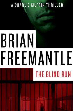 bigCover of the book The Blind Run by 