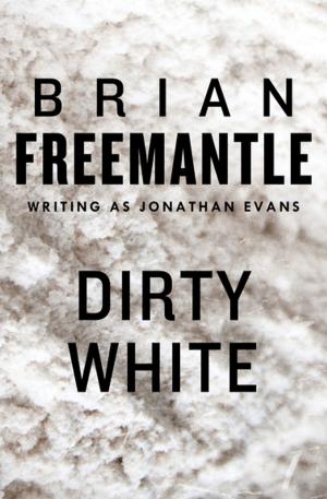 Cover of the book Dirty White by Thomas Maeder