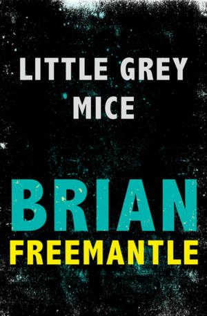 Cover of the book Little Grey Mice by Emily Franklin