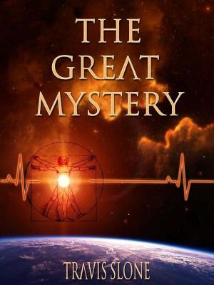 Cover of the book The Great Mystery by Brennan Haley