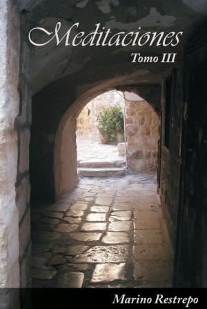 Cover of the book Meditaciones, Tomo III by Alberto Royo Mejía